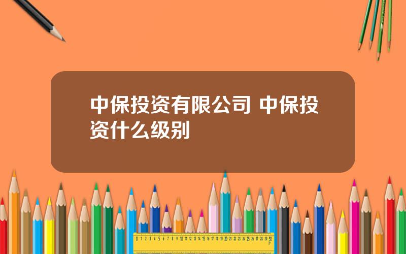 中保投资有限公司 中保投资什么级别